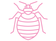 Insect Pest Control Scottsdale